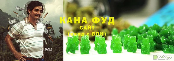 МДПВ Инсар