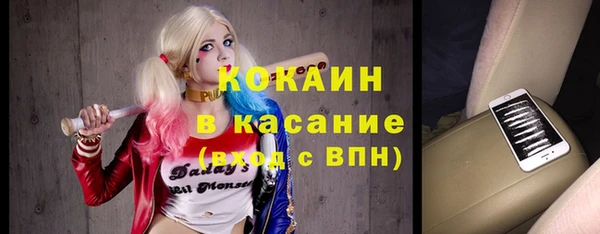 МДПВ Инсар