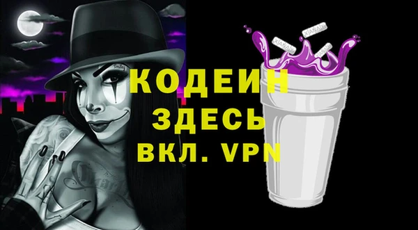 МДПВ Инсар