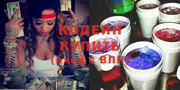 МДПВ Инсар