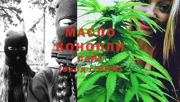 МДПВ Инсар
