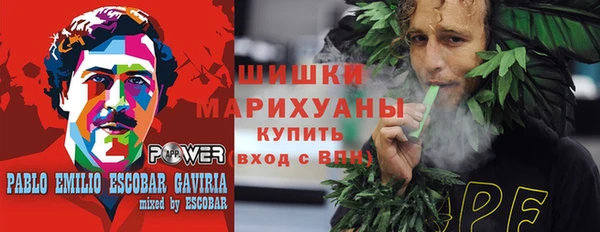 mdpv Инта